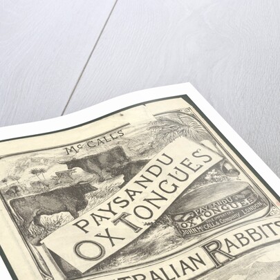 Paysandu ox tongue, 1890s. by Anonymous