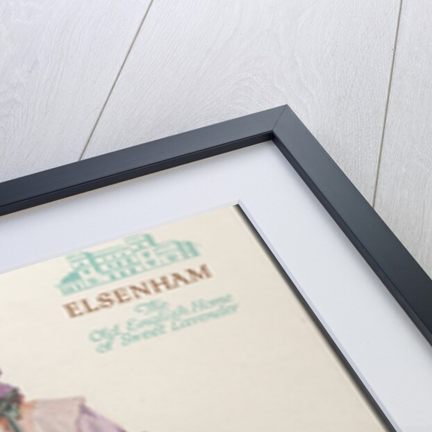 Elsenham Lavender, 1920s. Artist: Wilfred Fryer by Anonymous