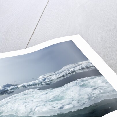 Melting Sea Ice, Repulse Bay, Nunavut Territory, Canada by Anonymous