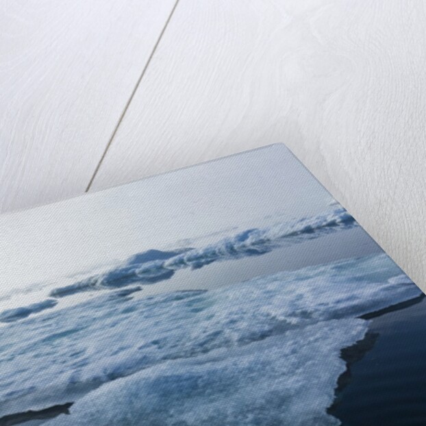 Melting Sea Ice, Repulse Bay, Nunavut Territory, Canada by Anonymous