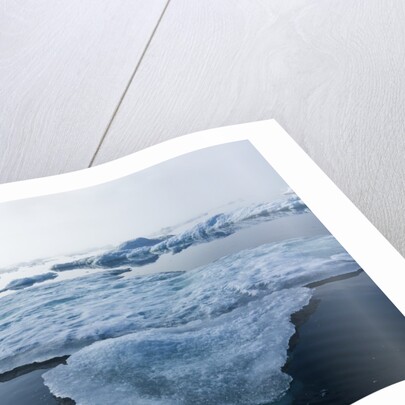 Melting Sea Ice, Repulse Bay, Nunavut Territory, Canada by Anonymous
