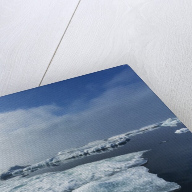 Melting Sea Ice, Repulse Bay, Nunavut Territory, Canada by Anonymous
