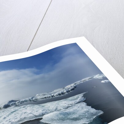 Melting Sea Ice, Repulse Bay, Nunavut Territory, Canada by Anonymous