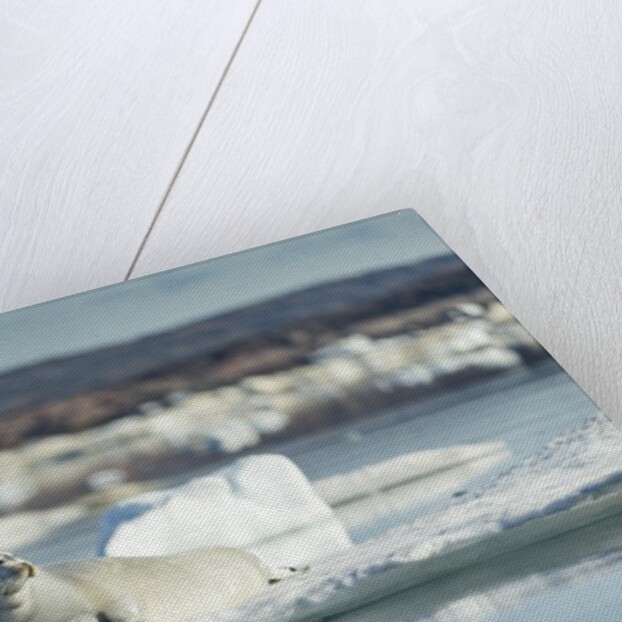 Bearded Seal on Sea Ice in Hudson Bay, Nunavut, Canada by Anonymous