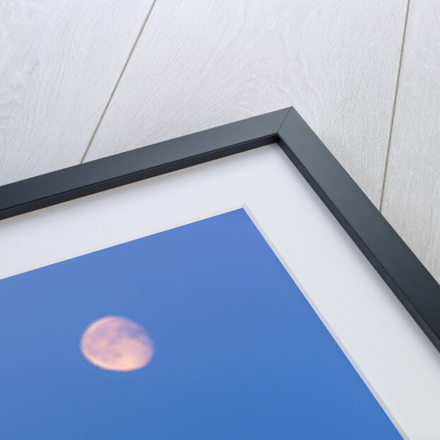Full Moon and Melting Sea Ice, Repulse Bay, Nunavut Territory, Canada by Anonymous