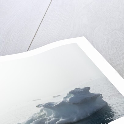Melting Sea Ice, Hudson Bay, Nunavut Territory, Canada by Anonymous