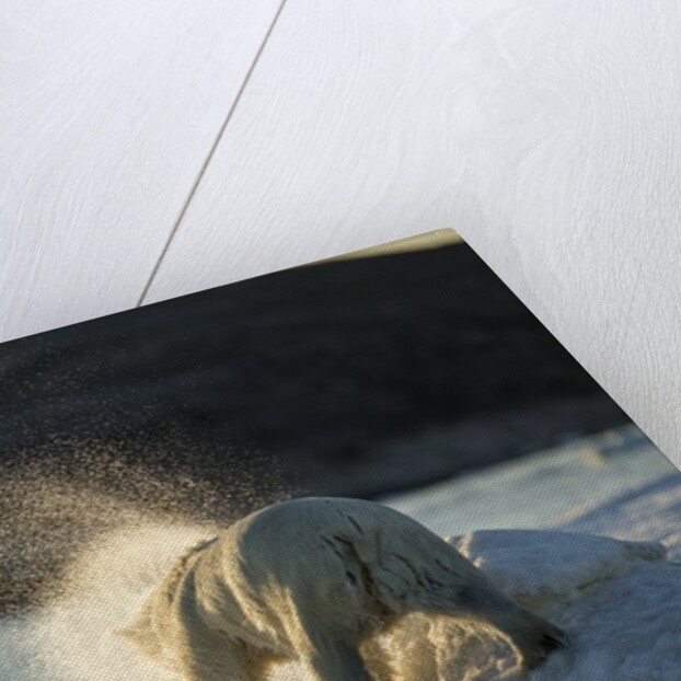 Polar Bear on Iceberg in Hudson Bay, Nunavut, Canada by Anonymous