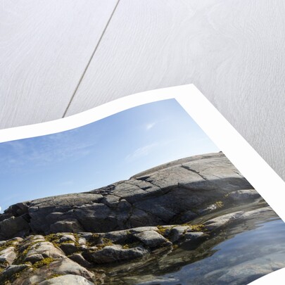 Polar Bear on Harbour Islands, Hudson Bay, Nunavut, Canada by Anonymous