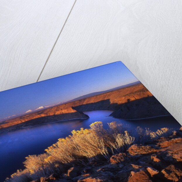 Lake Billy Chinook from Cove Palisades overlook at sunrise by Anonymous