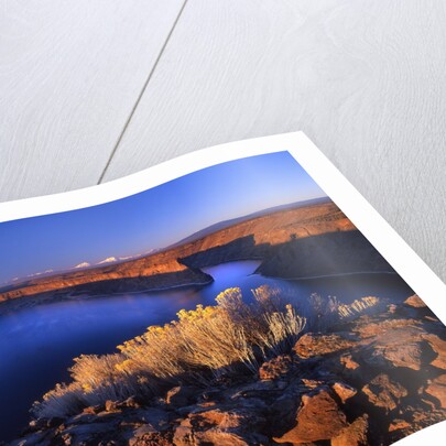 Lake Billy Chinook from Cove Palisades overlook at sunrise by Anonymous
