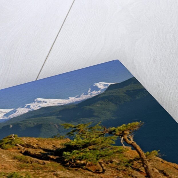 Three Sisters Mountains by Anonymous