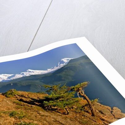 Three Sisters Mountains by Anonymous