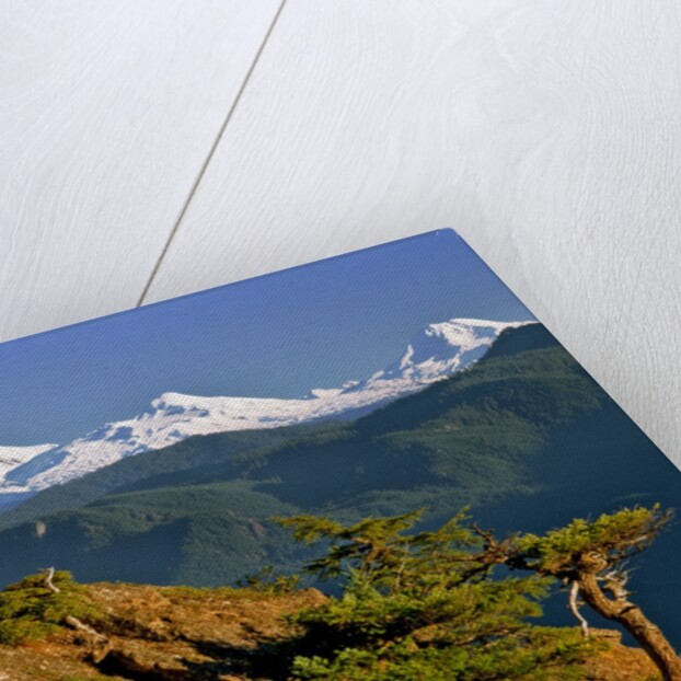 Three Sisters Mountains by Anonymous