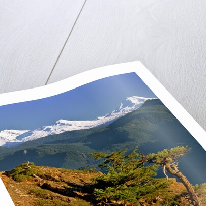 Three Sisters Mountains by Anonymous