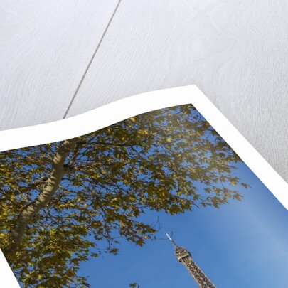 Eiffel Tower view from Champ de Mars by Anonymous