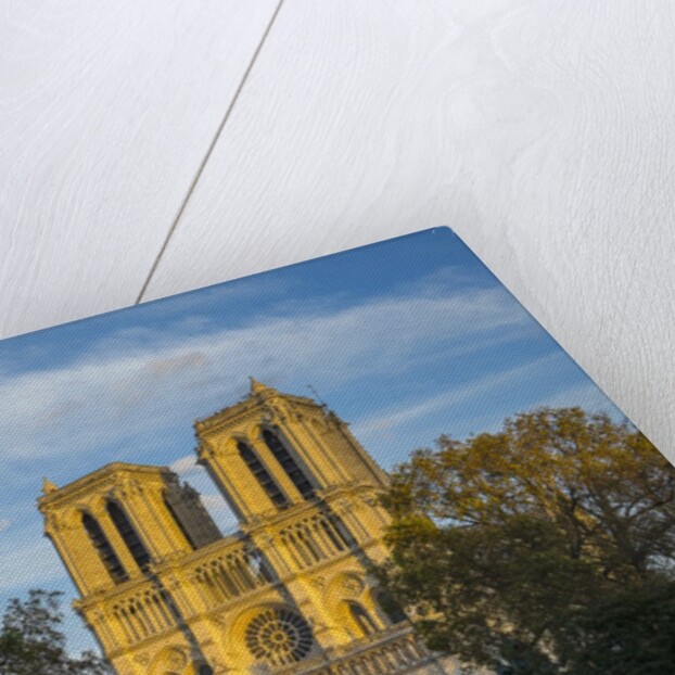 Notre Dame Cathedral by Anonymous