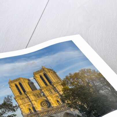 Notre Dame Cathedral by Anonymous