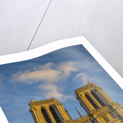 Notre Dame Cathedral by Anonymous