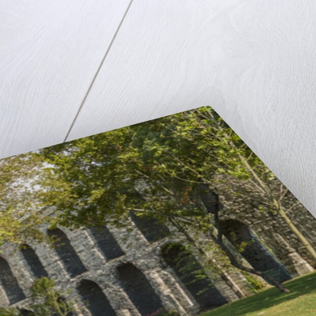 Valente Aqueduct by Anonymous