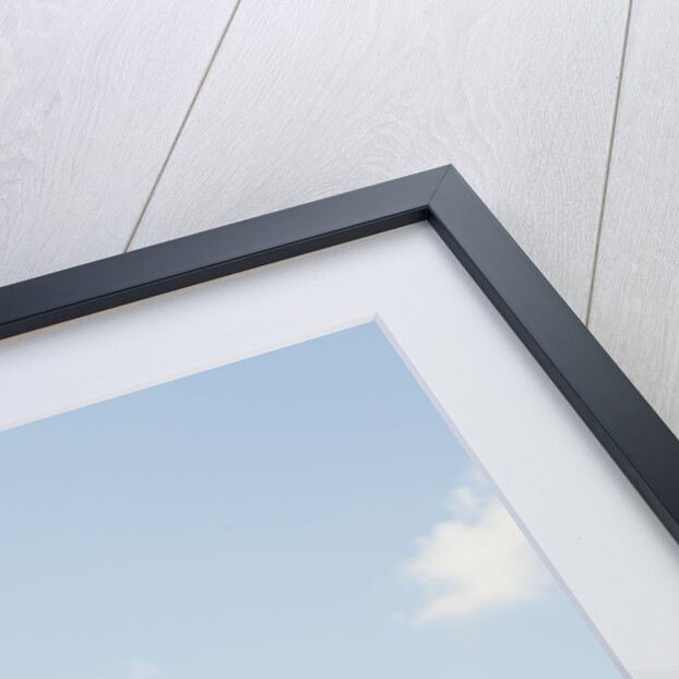 Bezni Alem Valide Sultani Cami Mosque along Bosporus by Anonymous