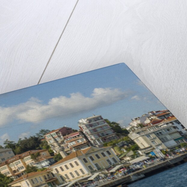 Beautiful houses along Bosporus by Anonymous