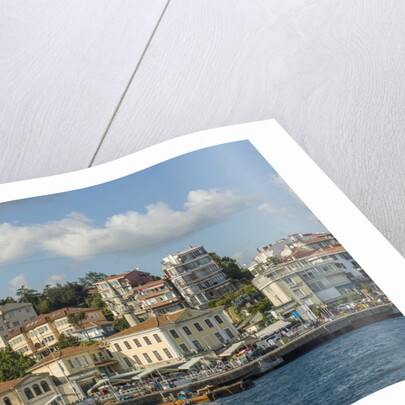 Beautiful houses along Bosporus by Anonymous