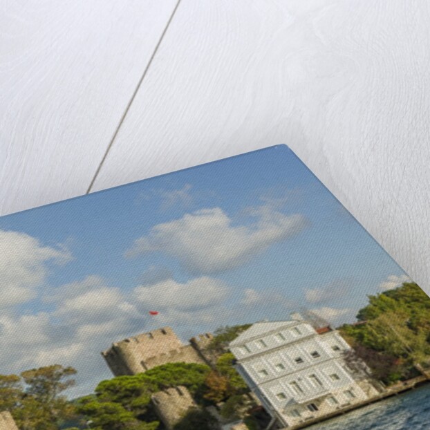 Beautiful houses along Bosporus by Anonymous