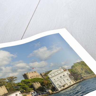 Beautiful houses along Bosporus by Anonymous