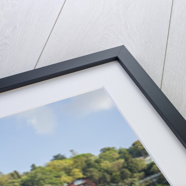 Beautiful houses along Bosporus by Anonymous