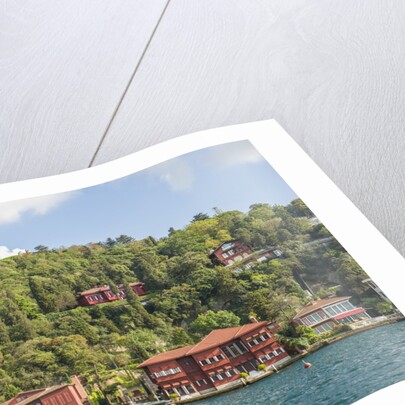 Beautiful houses along Bosporus by Anonymous