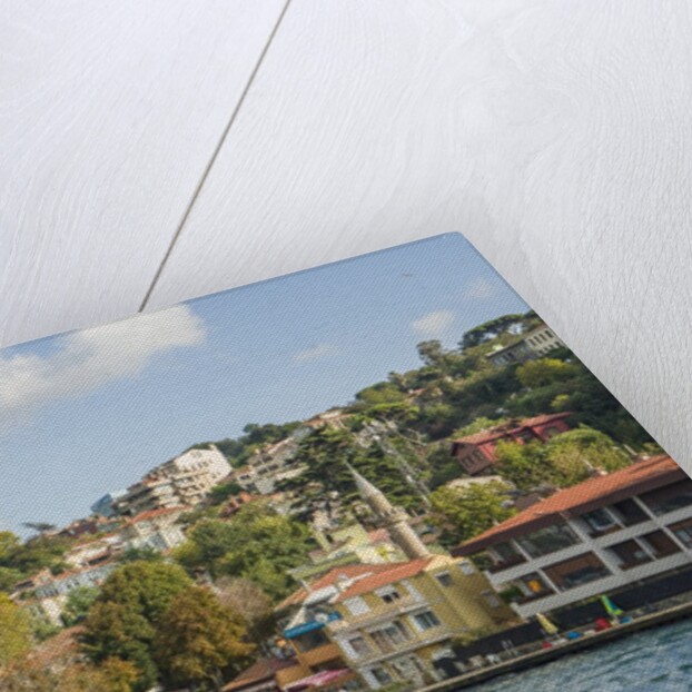 Beautiful houses along Bosporus by Anonymous
