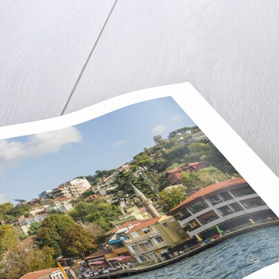Beautiful houses along Bosporus by Anonymous