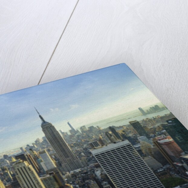 Manhattan skyline with the Empire State Building, New York City by Anonymous
