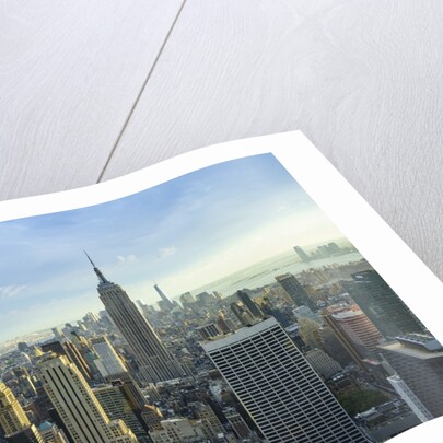 Manhattan skyline with the Empire State Building, New York City by Anonymous