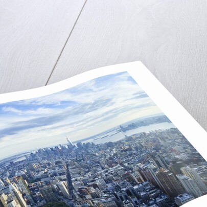 Manhattan skyline from above, New York City by Anonymous