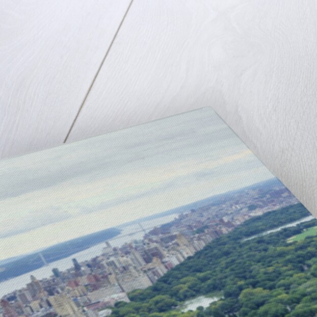 Central Park from above, New York City by Anonymous