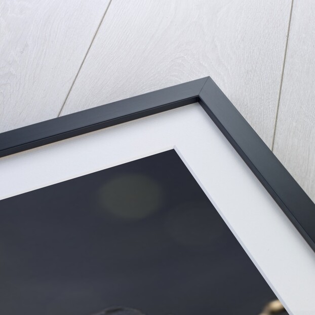 Libellula depressa (broad-bodied chaser) - male by Anonymous