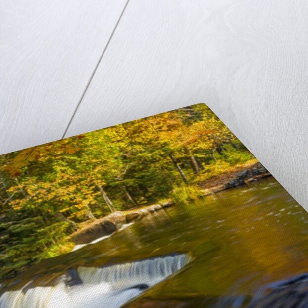 Trees reflect in cascade above Bond Falls on the Middle Fork of the Ontonagon river near Paulding in by Anonymous