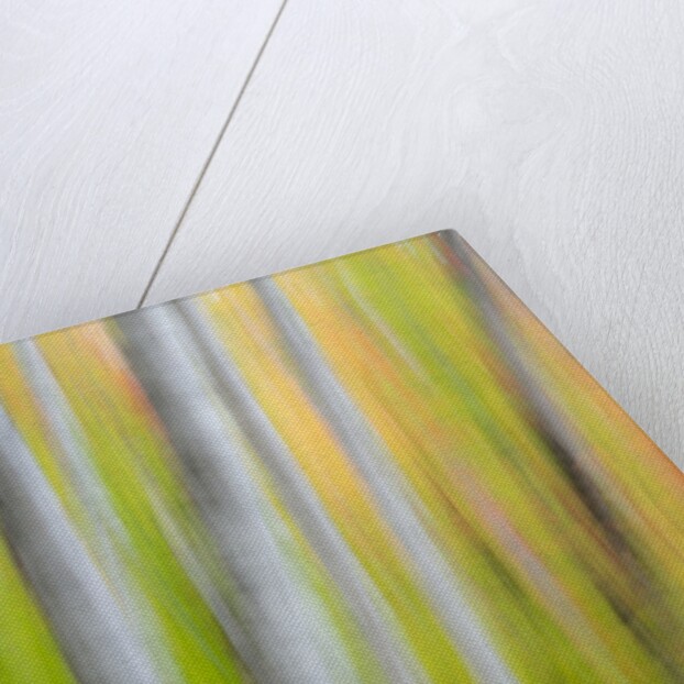 A panned motion blur of autumn woodland. by Anonymous