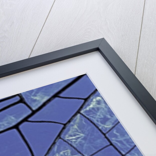 dragonfly wing - detail by Anonymous