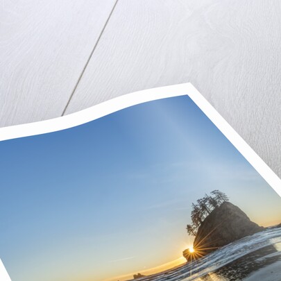 Second Beach Sunset by Anonymous