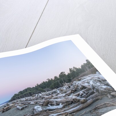 Kalaloch Beach Dawn by Anonymous