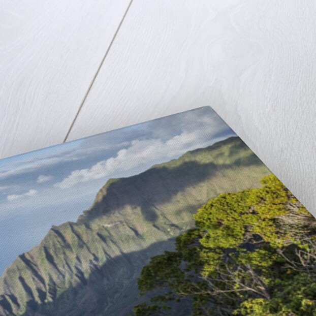 Na Pali Coast, Kauai, Hawaii by Anonymous