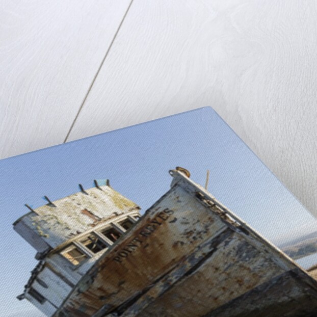 Point Reyes Shipwreck, Inverness, California by Anonymous