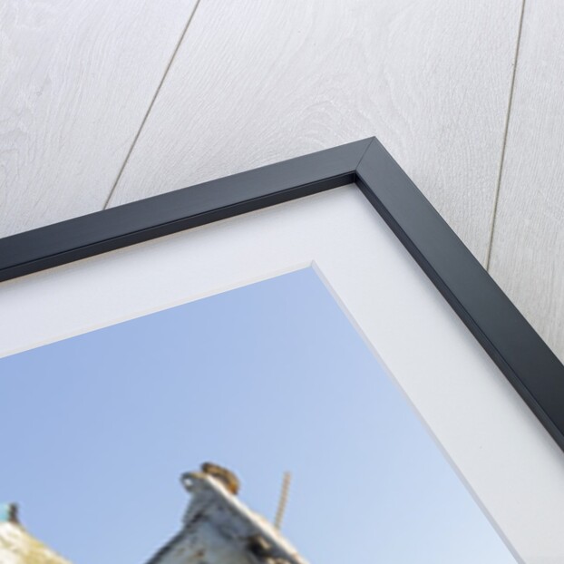 Point Reyes Shipwreck, Inverness, California by Anonymous