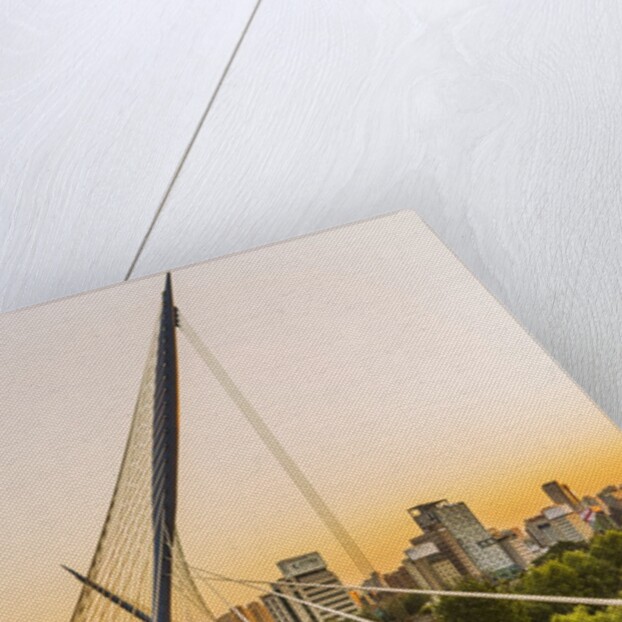 Yeouido, the Saetgang Ecological Park, a wild wetland among the skyscrapers, the Saetgang Bridge (footbridge) by Anonymous