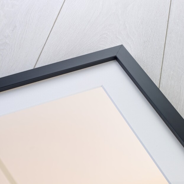 Yeouido, the Saetgang Ecological Park, a wild wetland among the skyscrapers, the Saetgang Bridge (footbridge) by Anonymous