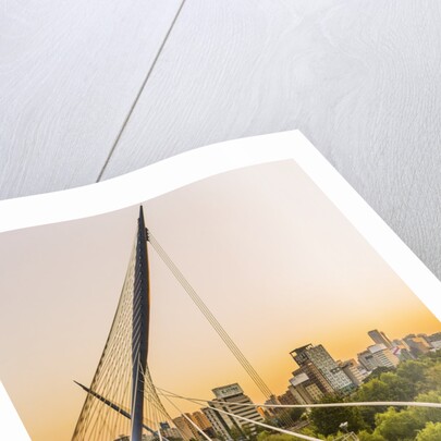 Yeouido, the Saetgang Ecological Park, a wild wetland among the skyscrapers, the Saetgang Bridge (footbridge) by Anonymous