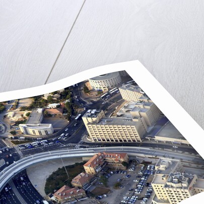 Air View of the Calatrava bridge. by Anonymous