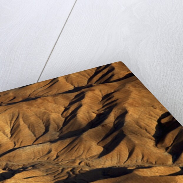 The desert near the Dead Sea. by Anonymous
